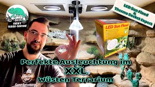 Perfekte Ausleuchtung im XXL Wüsten Terrarium Lucky Reptile LED Sun Flood \u0026 Thermo Socket Expert