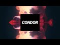 Condor - Forbidden Frequencies VIP