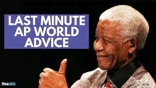 Last Minute AP World Advice