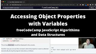 Accessing Object Properties with Variables (Basic JavaScript) freeCodeCamp tutorial