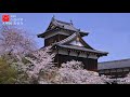 長谷寺編「第３話」｜奈良観光コンシェルジュが桜井市のお寺をご紹介：hasedera temple in sakurai city｜nara