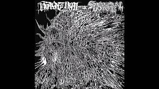 Vastum - Gagging on a Gash