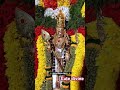 தென் பழனி தேடி muruga murugansongs murugar murugan முருகா முருகன்பாடல்கள் முருகா lordmurugan