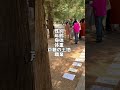 中国の世界遺産、天壇公園は親同士の婚活スポット？！ 世界遺産　 中国　 北京　 天壇公園　 婚活 駐在妻