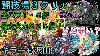 パズドラ　究極分岐フェンリル　ヴィズで闘技場３クリア　弱いかな？　全パラ１．５倍　「神葬の魔狼・フェンリル＝ヴィズ」