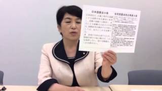 解説「自民党憲法改正草案のここが問題だ」04