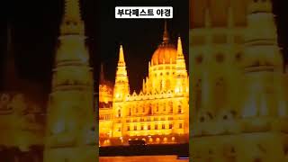 🇭🇺 헝가리 부다페스트 야경 #shorts