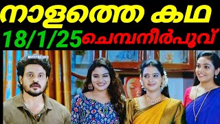 Chempaneerpoovu tomorrow promo #18/1/25 വർഷ ചെയ്ത ആ പ്രവർത്തി കണ്ട് ഞെട്ടി സച്ചി