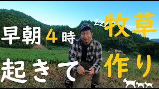 【あまりにも暑いので早朝４時起きて牧草作りやってみました】