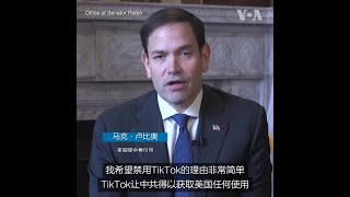 卢比奥参议员提案禁止使用抖音海外版TikTok