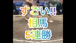 相馬さん（二子山部屋）5連勝!!すごい! #sumo #相撲 #二子山部屋