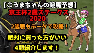 【こうまちゃんの競馬予想】京王杯2歳S20202歳戦もデータで攻略！絶対買った方がいい4頭を紹介します！