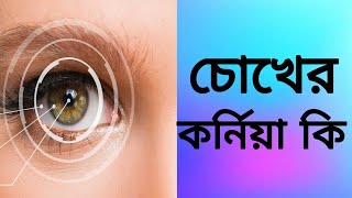 চোখের কর্নিয়া কি | চোখের কর্নিয়ার কাজ কি