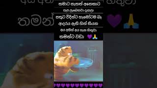 සතුටු වෙන්ට අනිත් අය දිහා බලලා