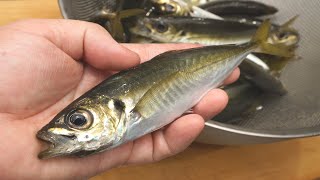 小アジの簡単なさばき方と唐揚げの作り方（エラと内臓を簡単に取る方法）　deep-fried horse mackerel