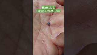 Bermula 2, Tanago Assist Hook - Micro Fishing #shorts #microfishing #tanagofishing #mancingtanago