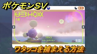 ポケモンＳＶ　ワタッコを捕まえる方法！出現場所は？図鑑No.１８　ポケモン図鑑を埋めよう！　【スカーレット・バイオレット】