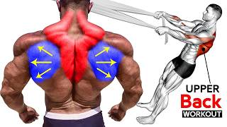 Best Upper Back Exercises