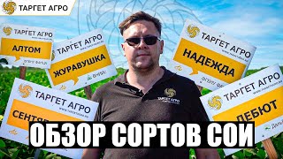 Обзор сортов сои