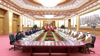 Xi Jinping: China-UAE ties good example of China-Arab state relations in new era