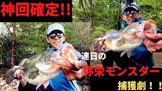 【神回!!】連日の弥栄モンスター捕獲劇！！NBCチャプター広島１週間前プラ