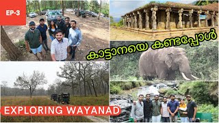 Exploring Wayanad | Tholpetty forest safari | Iruppu Waterfalls | Thirunelli temple |Ford Endeavour