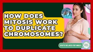 How Does Mitosis Work To Duplicate Chromosomes? - Genetic Wellness for Families