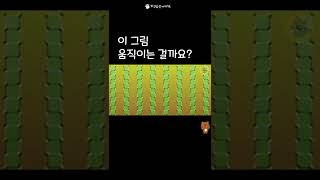 [착시도다해] 움직이는건가요?opticalillusion