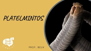 PLATELMINTOS - Ensino Fundamental