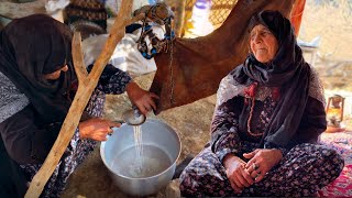 Kurdish nomadic family: The simple life of the nomads of the 120 year old grandmother