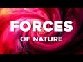 The Four Fundamental Forces (4K)