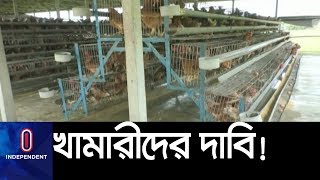 কেন বিপাকে পড়েছেন ৩০ হাজার খামারী? || Mymensingh Khamar