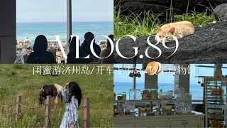 VLOG89 | 🇰🇷带国内闺蜜游济州岛/开车上牛岛/贝果博物馆