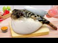 Cooking Tasty Miniature Puffer Fish Curry In Tiny Kitchen 🐟 Real Food By Tina Mini Cooking