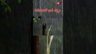 కాకినాడలో భారీ వర్షం అద్భుతమైన మూమెంట్ ||heavy rain in Kakinada||rain videos|| @CEC