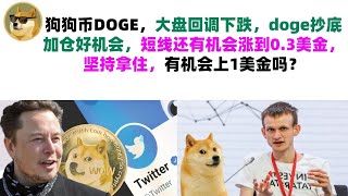 狗狗币DOGE，大盘回调下跌，doge抄底加仓好机会，短线还有机会涨到0.3美金，坚持拿住，有机会上1美金吗？马斯克狗狗币|DOGE行情分析!