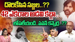 సజ్జల..42 ఎకరాల అడవి కబ్జా..? | Sajjala Forest Land Grabbing In Kadapa | YS Jagan | Wild Wolf Telugu