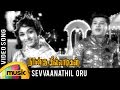 Naangu Killadigal Tamil Movie Song | Sevvaanathil Oru Natchathiram Video Song | Jaishankar