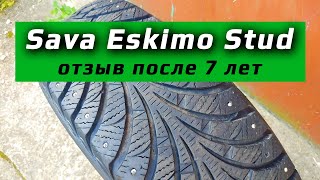 Sava Eskimo Stud /// отзыв