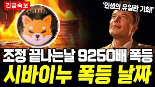 시바이누코인을 지금 부자들만 주워 담고 있습니다 부자가 될 기회는 지금 마지막 입니다