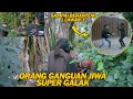 VIRAL DIBEKASI !! BANG EGO SAMPAI KEJAR KEJARAN DENGAN ODGJ SUPER GALAK INI | EGO ANDRIANO