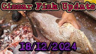 Fish Video | Gissar fish update | Karachi fishery Market on 18/12/2024