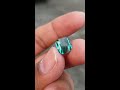 3.57 cts indicolite blue tourmaline