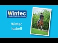 Wintec Isabell saddle