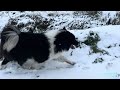 【🇫🇷フランスの田舎に雪が積もった日　学校サボった中1】