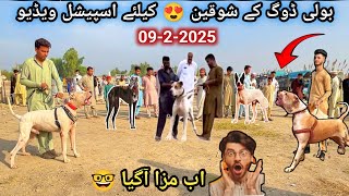 Cheap Price Dog In Kohat | Special dog Market | Kohat Dog Mandi | Pk Animals