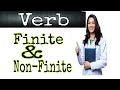 Finite and non finite verb| Verb|One Minute Learning School