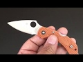 Spyderco Dragonfly 2 Hap40!  The Knife of the Day!