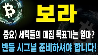 보라 코인 / 중요) 세력들의 매집 목표가는 얼마? 반등 시그널 준비하셔야 합니다!