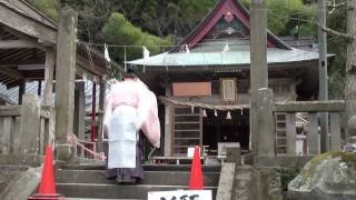 生き続ける千年杉　雲八幡宮－大分県中津市耶馬溪町